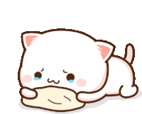 Cute Peach Cat