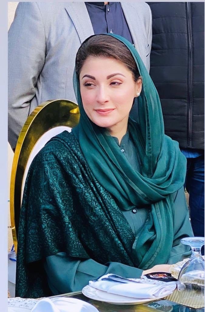 Maryam Nawaz Portrait 3