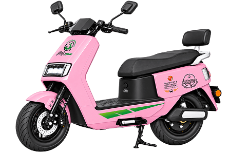 CM Punjab E-Bikes Scheme