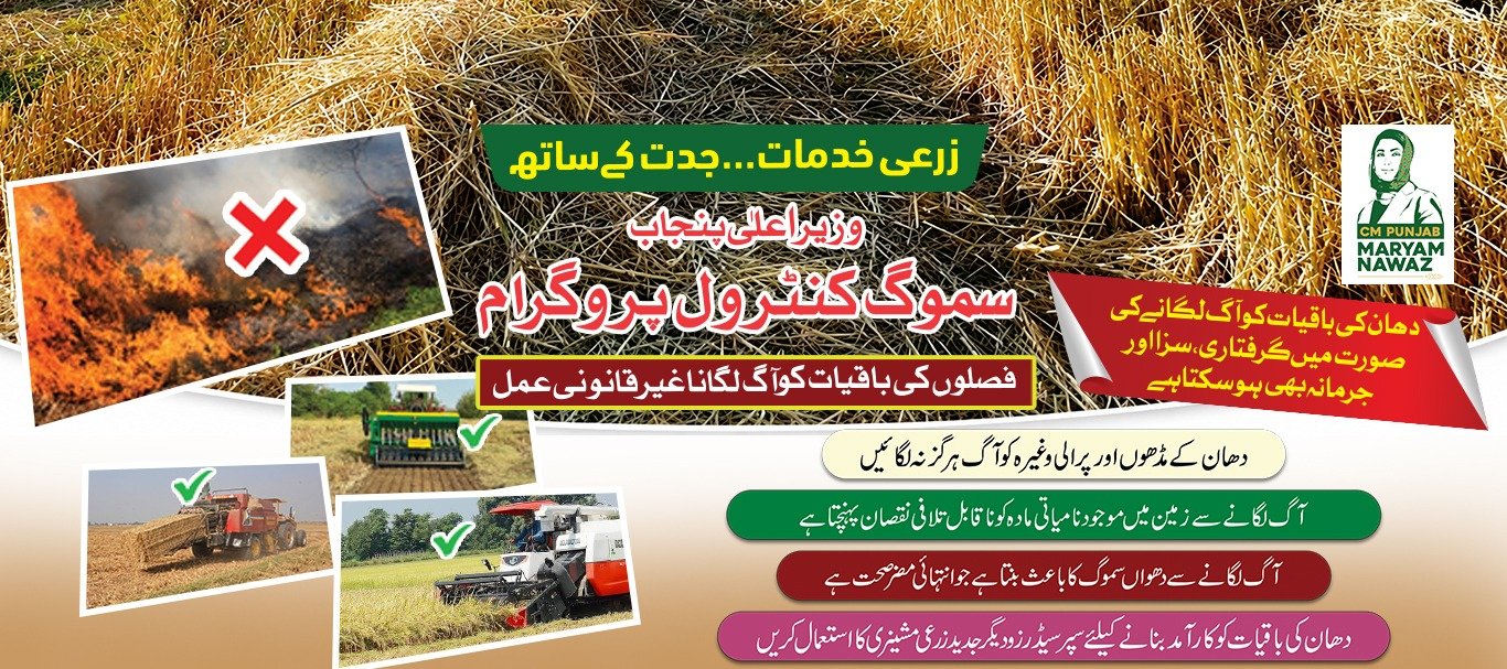 Green Punjab and Anti-Smog Initiative